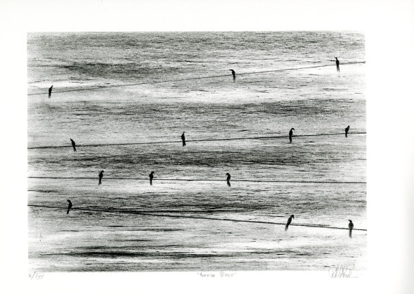 Morning Birds by Richard Florsheim