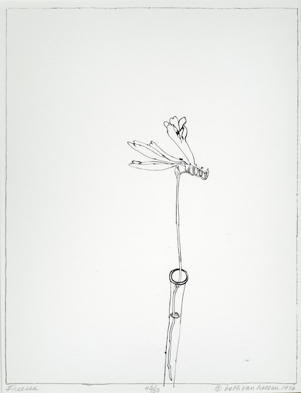 Freesia by Beth Van Hoesen, Image 1.