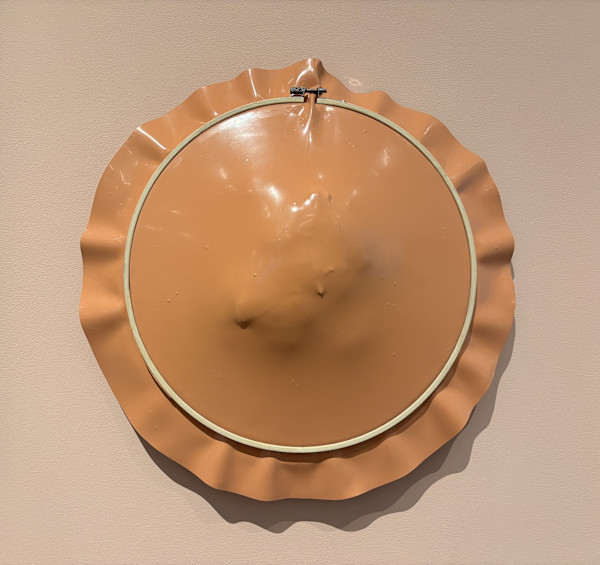 Hidden Agenda I by Chris Bauder