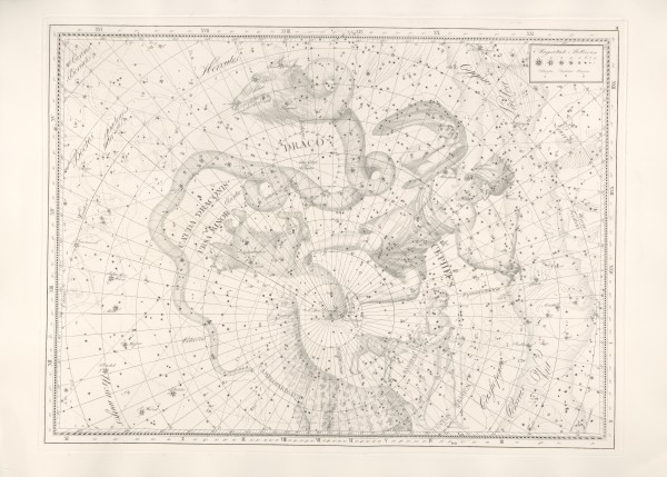 Draco from Uranographia 1801 by Johann Elert Bode