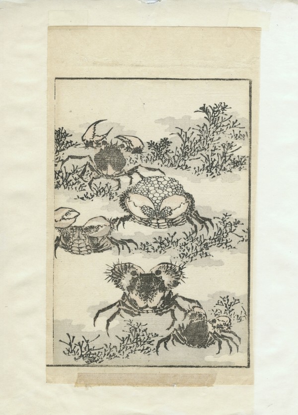 Detached Page: Picture Album Transmitting the Spirit by Katsushika Hokusai (葛飾北斎)