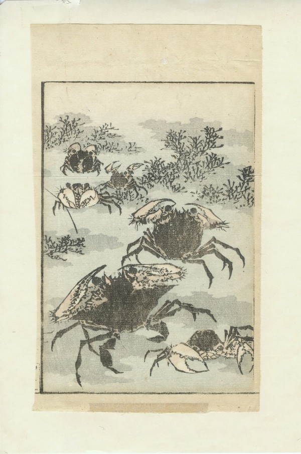 Artist: Katsushika Hokusai (葛飾北斎) | Artwork Archive