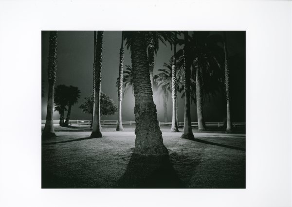 Palisades Park, Santa Monica 1975 by Robert von Sternberg