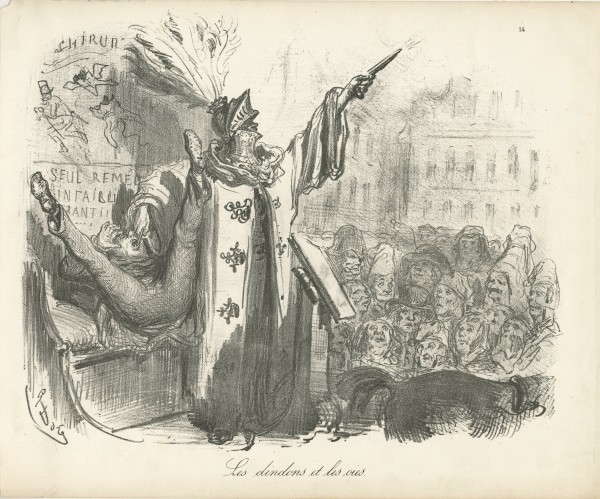 Les Dindons et les Oies by Gustave Doré