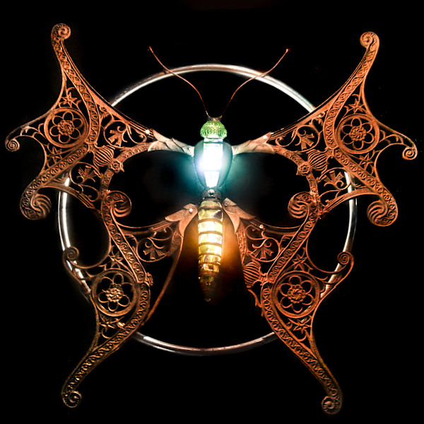 Firefly by Bruce Larsen