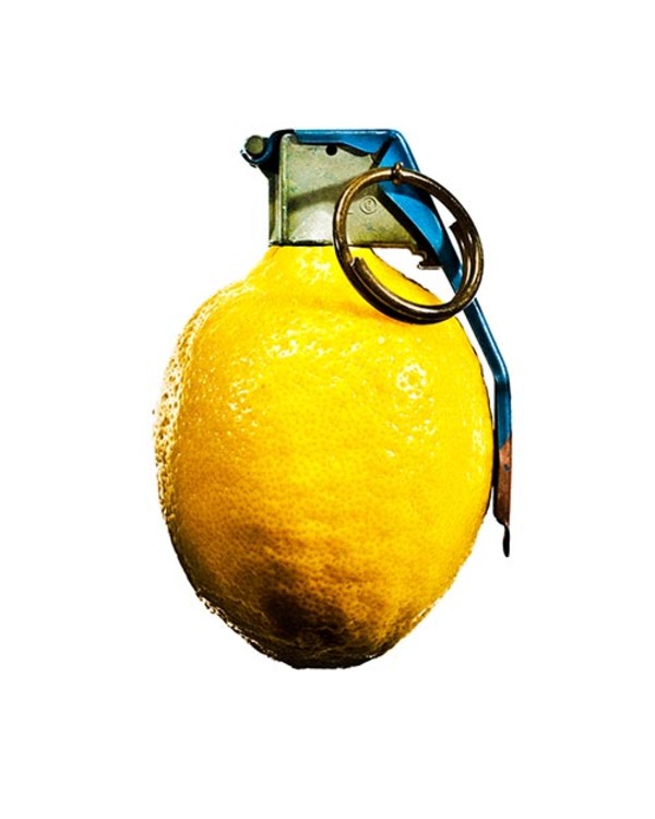 Lemon Delight! by Matt McKee