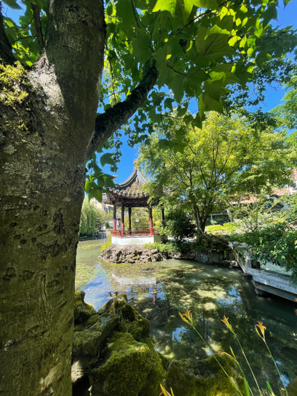 Dr. Sun Yat-Sen Classical Chinese Garden by Regina Martinez