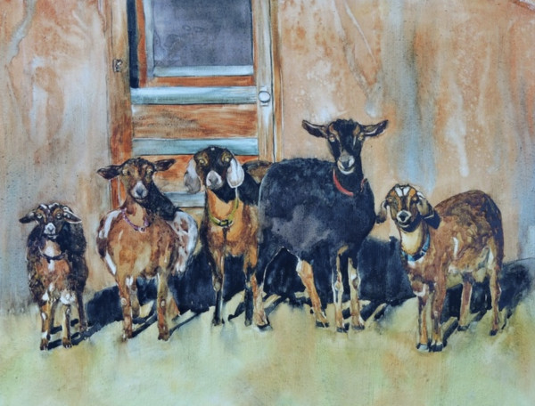 Goat Gang by Diane Nelson-Scott