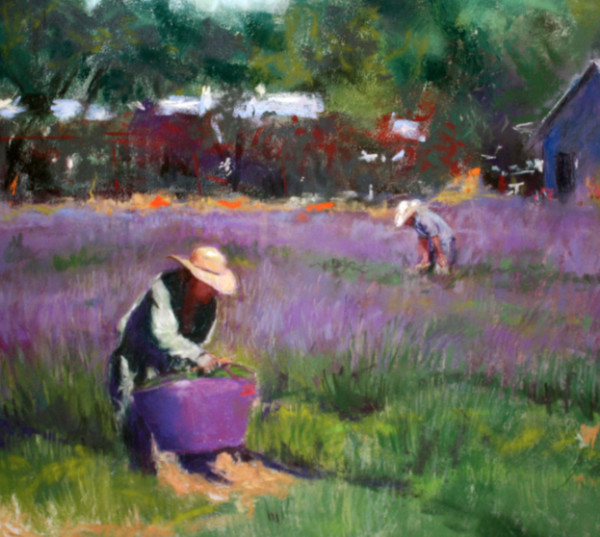 The Lavender Harvesters by Nori Thorne