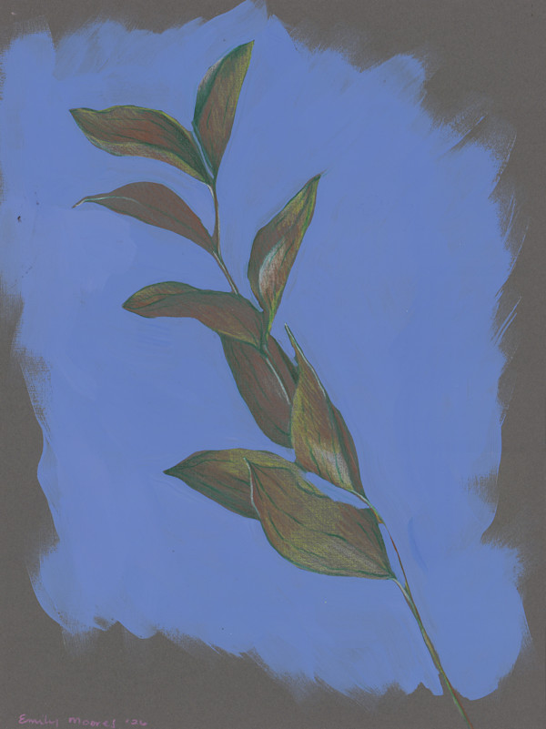 Stem by Emily Moores, Image 1.