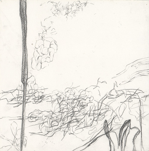The Field by Emily Moores, Image 1.