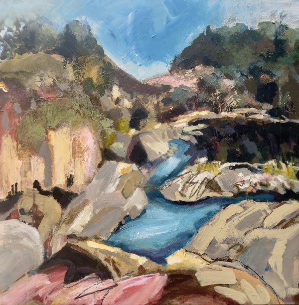 Adelong Falls by Ann Rayment