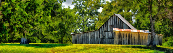 Texas Barn #3 by Aimee Woolverton (Art-ography by AimeeLouise)