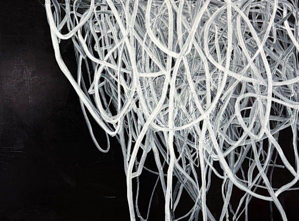 Root by susan wolfe huppman