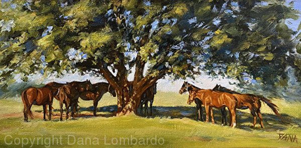 Meet me at the old Oak Tree by Dana Lombardo