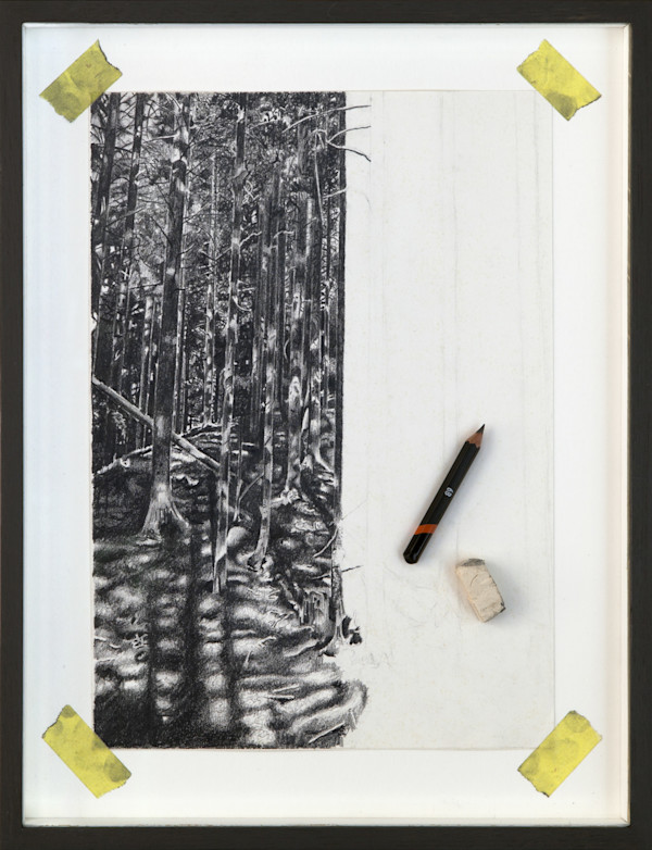 Distraction 1 - Half Drawn Forest by Mark Welland