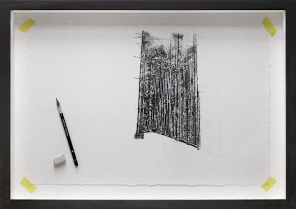 Distraction 2 - Half Drawn Forest by Mark Welland