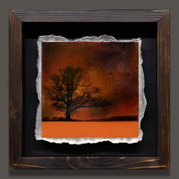 I CONTAIN MULTITUDES - Earth Tones on Mandarin by Mark Welland, Image 3.