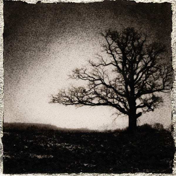 OUT OF ONE, MANY - 12 by Mark Welland