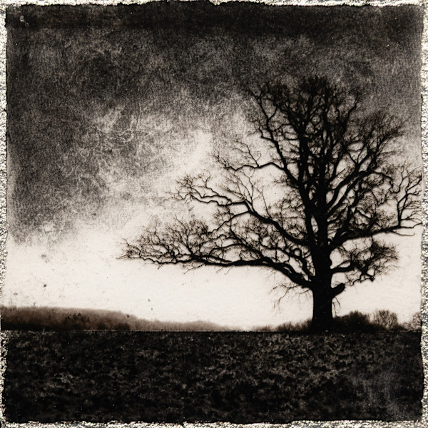 OUT OF ONE, MANY - 2 by Mark Welland