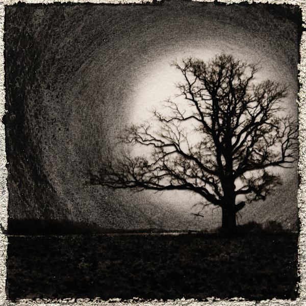 OUT OF ONE, MANY - 6 by Mark Welland