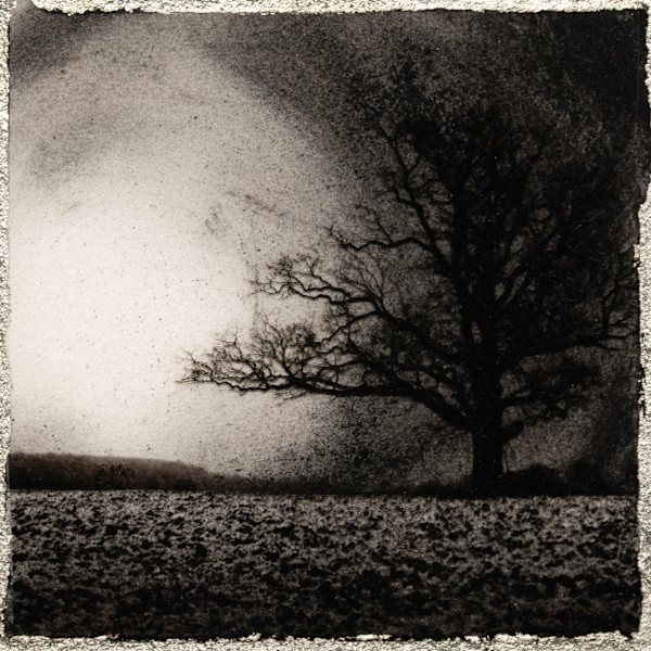 OUT OF ONE, MANY - 7 by Mark Welland