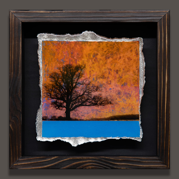 I CONTAIN MULTITUDES - Orange on Aquamarine by Mark Welland, Image 1.