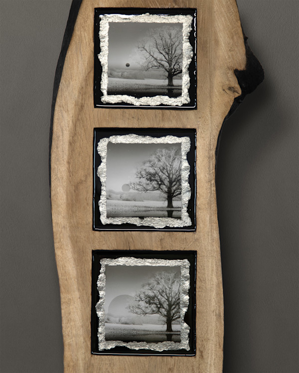 Reliquiae II - When I Once Stood by Mark Welland, Image 2.