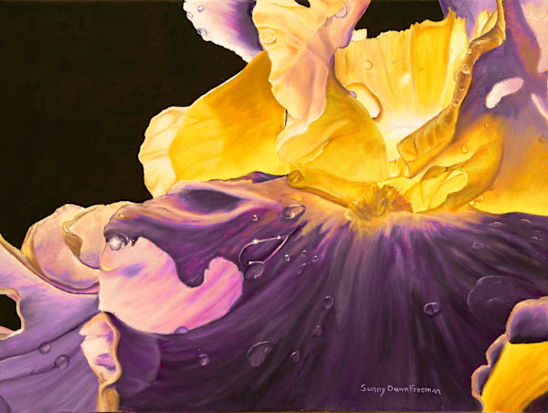Iris II by Sunny Dawn Freeman, Image 1.