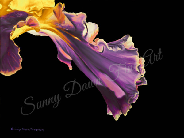 Iris I by Sunny Dawn Freeman, Image 1.