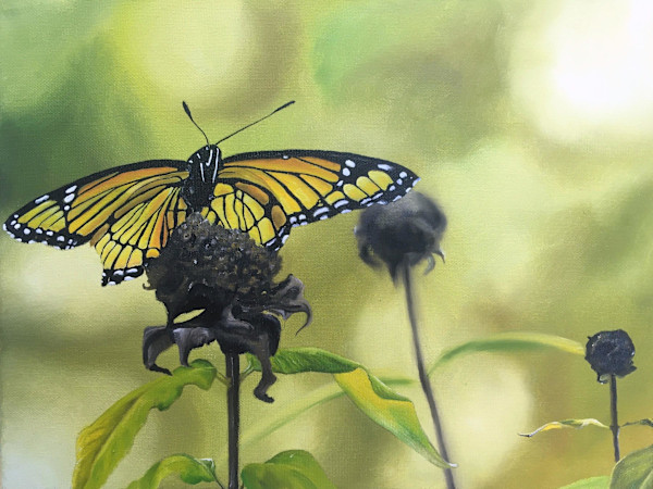 Seasons Change by Sunny Dawn Freeman, Image 1.