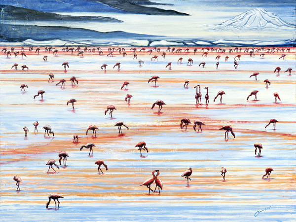 Flamingos of Altiplano