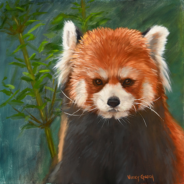 Red Panda by Vicky Gooch