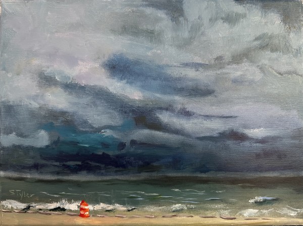 Storm Passed by Susan Carol Tyler