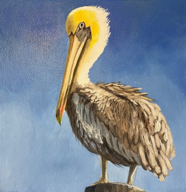 Pelicans Rest by Dianne Duggan