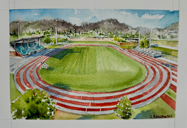 Apple Bowl Stadium V.2 #531 by Irina Bakumenko BEEBLAGOART