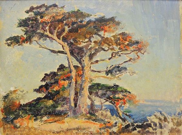 Monterey Trees by the Coast by Frank Montague Moore