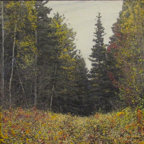 Highland Autumn by Carla Benjamin