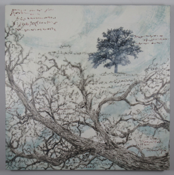 The Language of Wind by Carla Benjamin