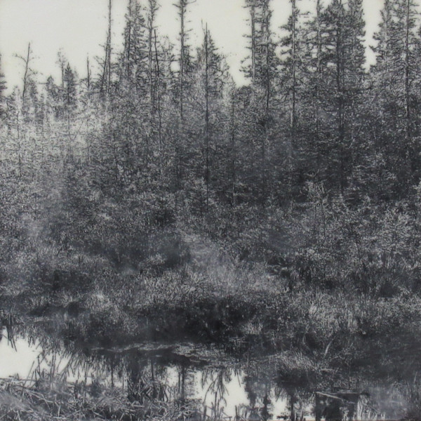 Black and White Series - Tamarac Reflections by Carla Benjamin