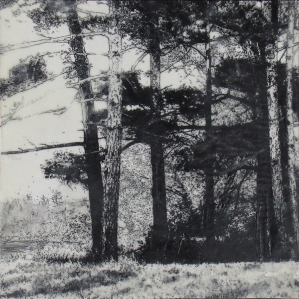 Black and White Series - Island View by Carla Benjamin