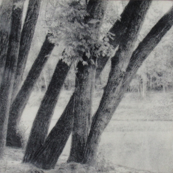 Black and White Series - MN Riverside by Carla Benjamin