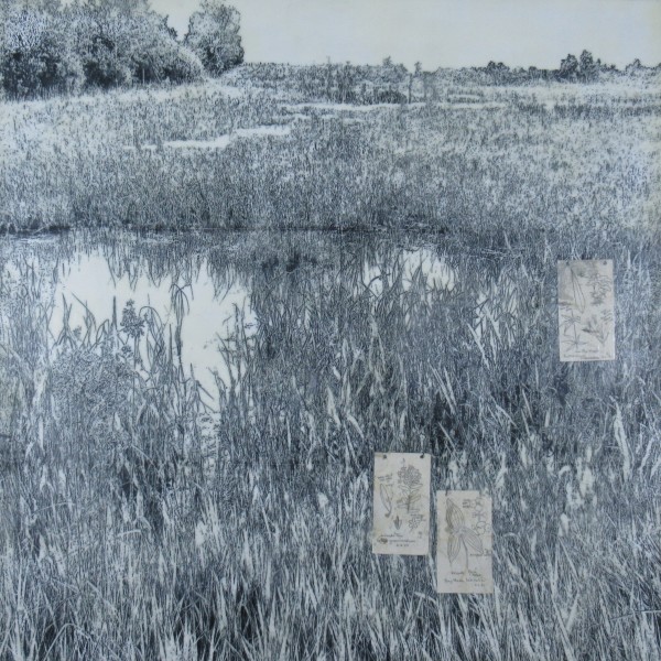 Wetlands Sketchbook by Carla Benjamin