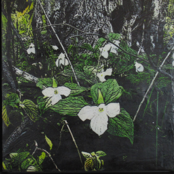 Trillium Bouquet by Carla Benjamin