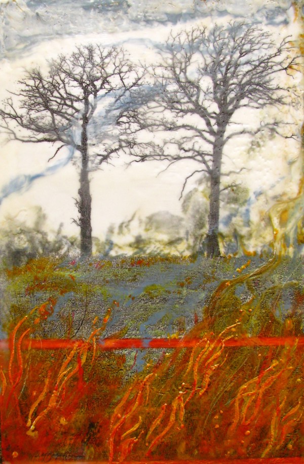 Prairie Burn by Carla Benjamin