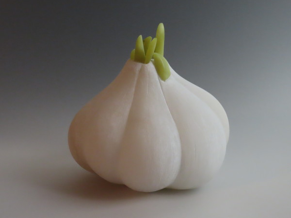 Sprouting Garlic by Kathryn Vinson