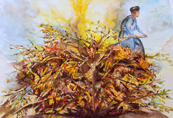 Intense Heat by Nilou Farzam