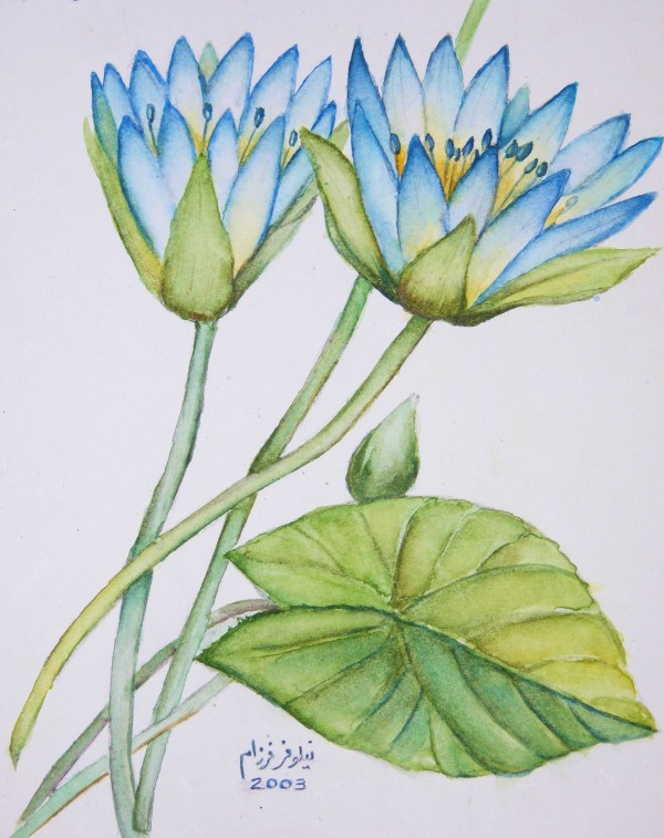 Waterlilies by Nilou Farzam