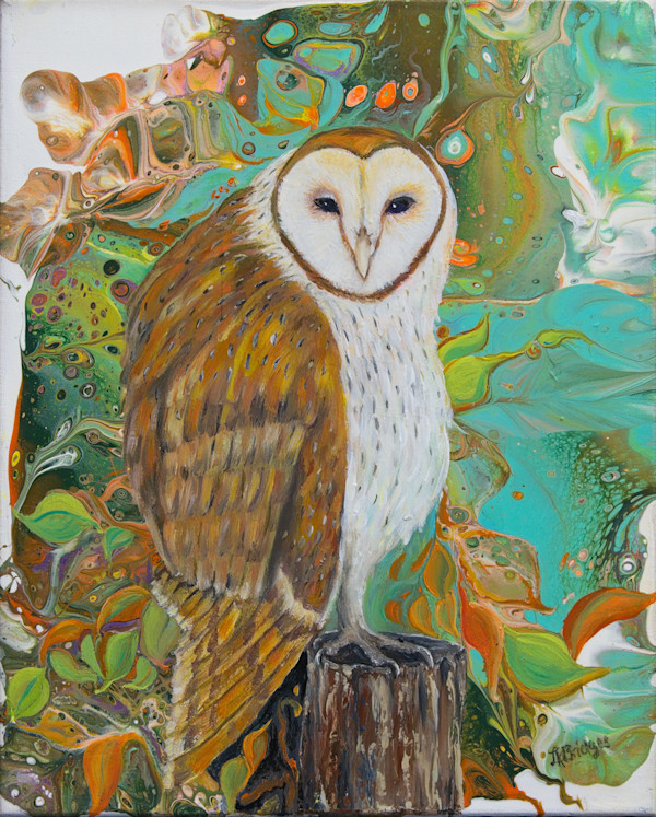 Barn Owl Watching by Linda K Bridges