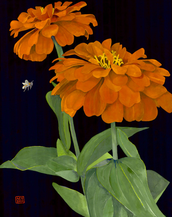 Orange Zinnias and Bumble Bee